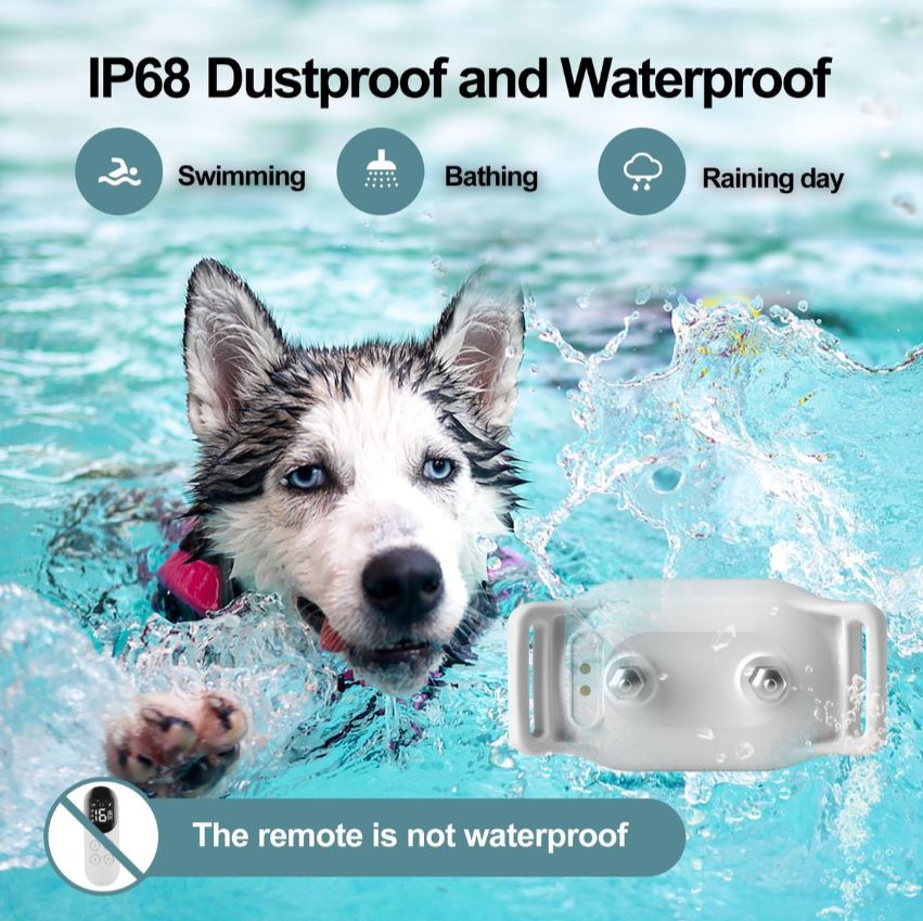 Remote Dog Training E-Collar BH200R 300m Rechargeable Waterproof 1-3 Dogs