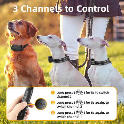 Remote Dog Training Shock Collar 1000m 1-2 Dogs PD521