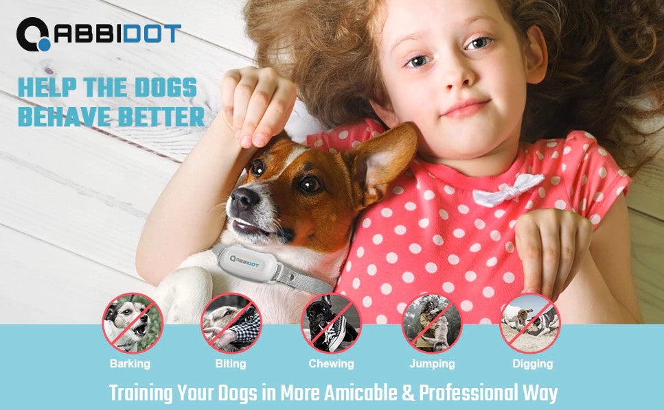Remote Dog Training Shock Collar 450m 1-2 Dogs Q20R