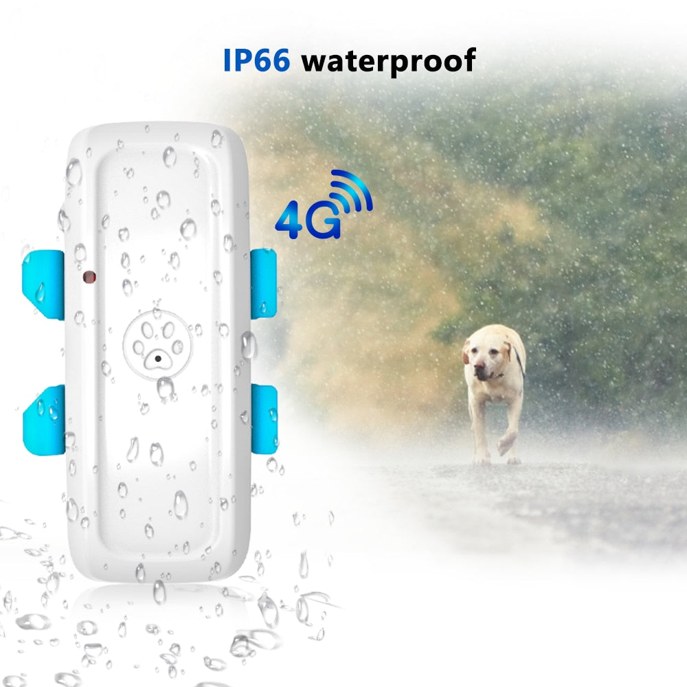 4G LTE GPS Tracker for Dogs BARKAHOLICS® BH911
